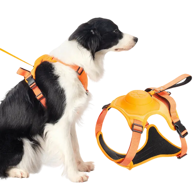 Comfy Walk Harness And Leash