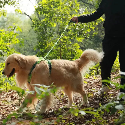 Comfy Walk Harness And Leash