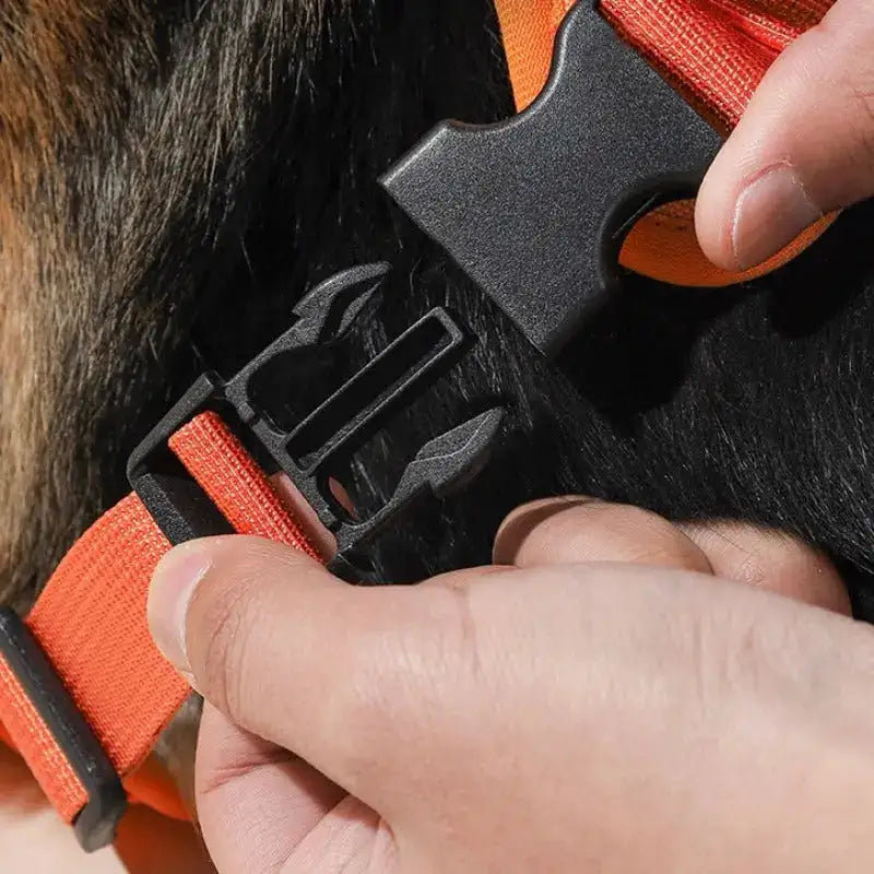 Comfy Walk Harness And Leash